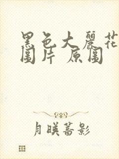 黑色大丽花真实图片 原图