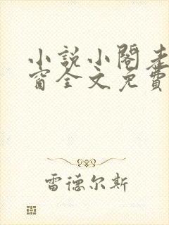 小说小阁老无弹窗全文免费阅读封面
