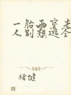 一胎两宝老婆大人别想逃全文免费阅读全文封面