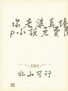 你老婆真棒多cp小说免费阅读封面