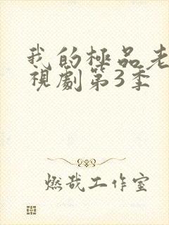 我的极品老婆电视剧第3季