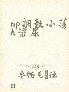 np调教小荡货h灌尿封面