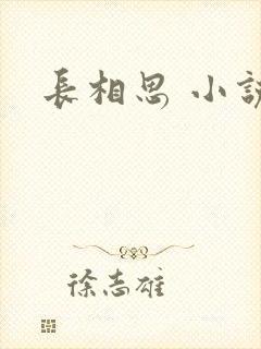 长相思 小说封面