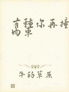 有种你再撞一下肉车