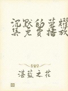 沉默的荣耀40集免费播放网站大全