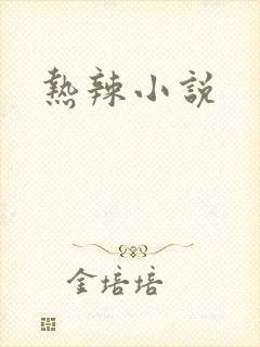 热辣小说