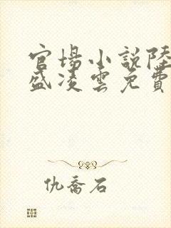 官场小说陆羽与盛凌云免费阅读