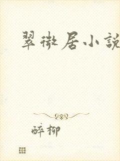 翠微居小说