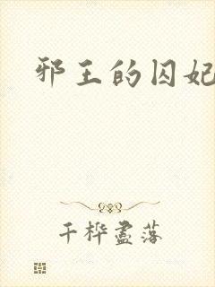 邪王的囚妃封面