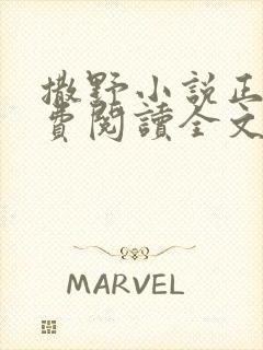 撒野小说正版免费阅读全文无弹窗