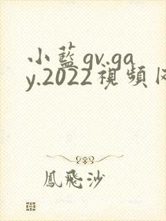 小蓝gv.gay.2022视频网站