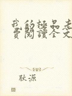 我的极品老婆免费阅读全文小说封面