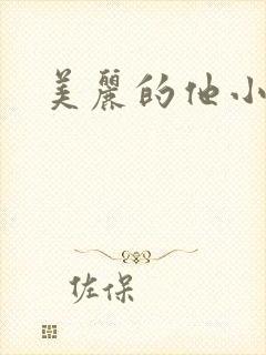 美丽的他小说封面