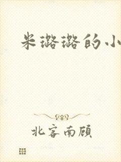 米璐璐的小说