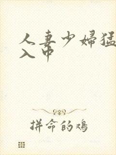 人妻少妇猛烈进入中