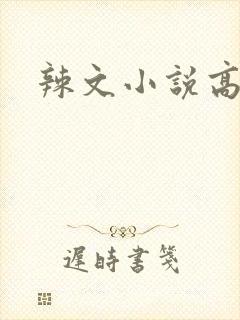 辣文小说高h