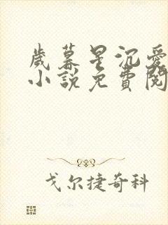 岁暮星沉爱已迟小说免费阅读全文无弹窗