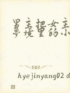 男主把女主拖进梦境里的小说