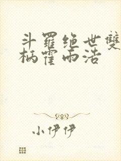 斗罗绝世双神权柄霍雨浩封面