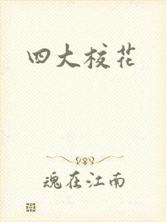 四大校花封面
