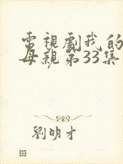 电视剧我的三个母亲第33集在线观看