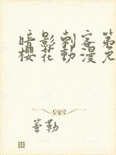 暗影刺客第4季樱花动漫免费观看