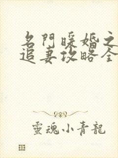 名门暖婚之权爷追妻攻略全文免费阅读