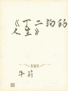 《丁二狗的逍遥人生》封面