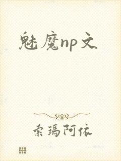 魅魔np文
