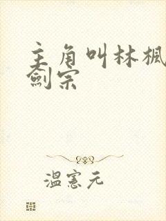 主角叫林枫神霄剑宗