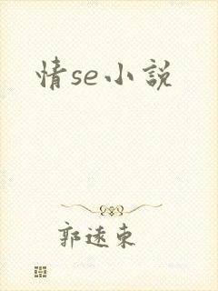 情se小说