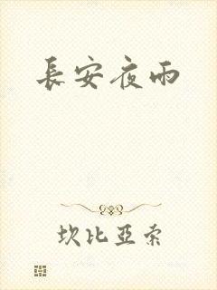长安夜雨