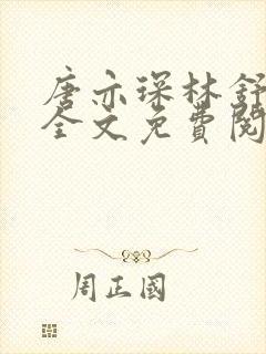 唐亦琛林舒小说全文免费阅读封面