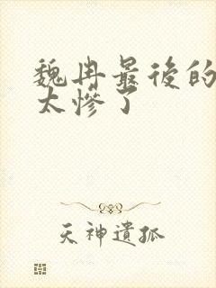 魏冉最后的结局太惨了