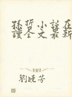 孙哲小说在线阅读全文最新