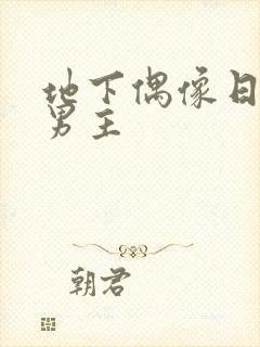 地下偶像日漫双男主