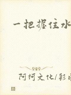 一把握住水蜜桃