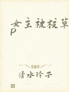 女主被校草们NP