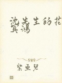 沈先生的花式调冥鸿