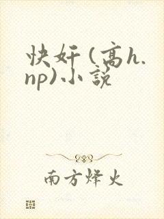 快奸 (高h.np)小说封面