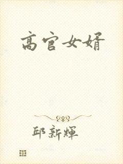 高官女婿