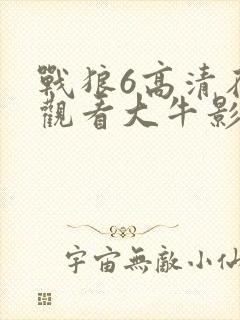 战狼6高清在线观看大牛影视