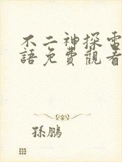 不二神探电影国语免费观看