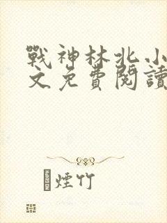 战神林北小说全文免费阅读