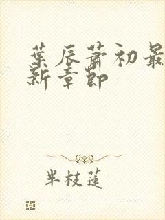 叶辰萧初最新更新章节封面