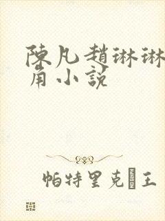 陈凡赵琳琳的主角小说