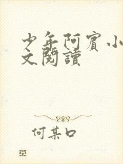 少年阿宾小说全文阅读