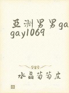 亚洲男男gaygay1069