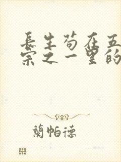 长生苟在五大仙宗之一里的小说封面