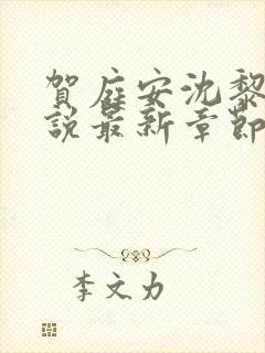 贺庭安沈黎初小说最新章节更新内容